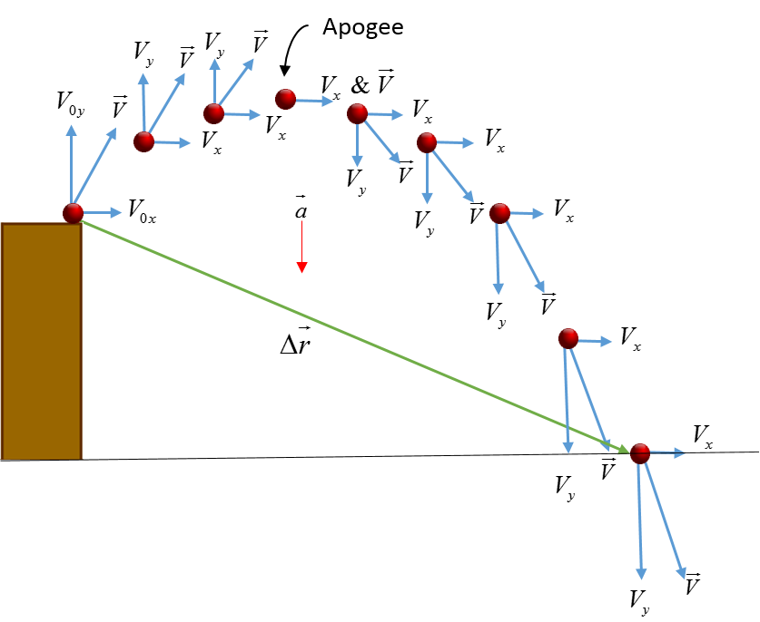 This is picture of an object undergoing projectile motion. The figure shows the object at various times in it's flight. There are vectors to represent the velocity, acceleration, and change in position for the motion