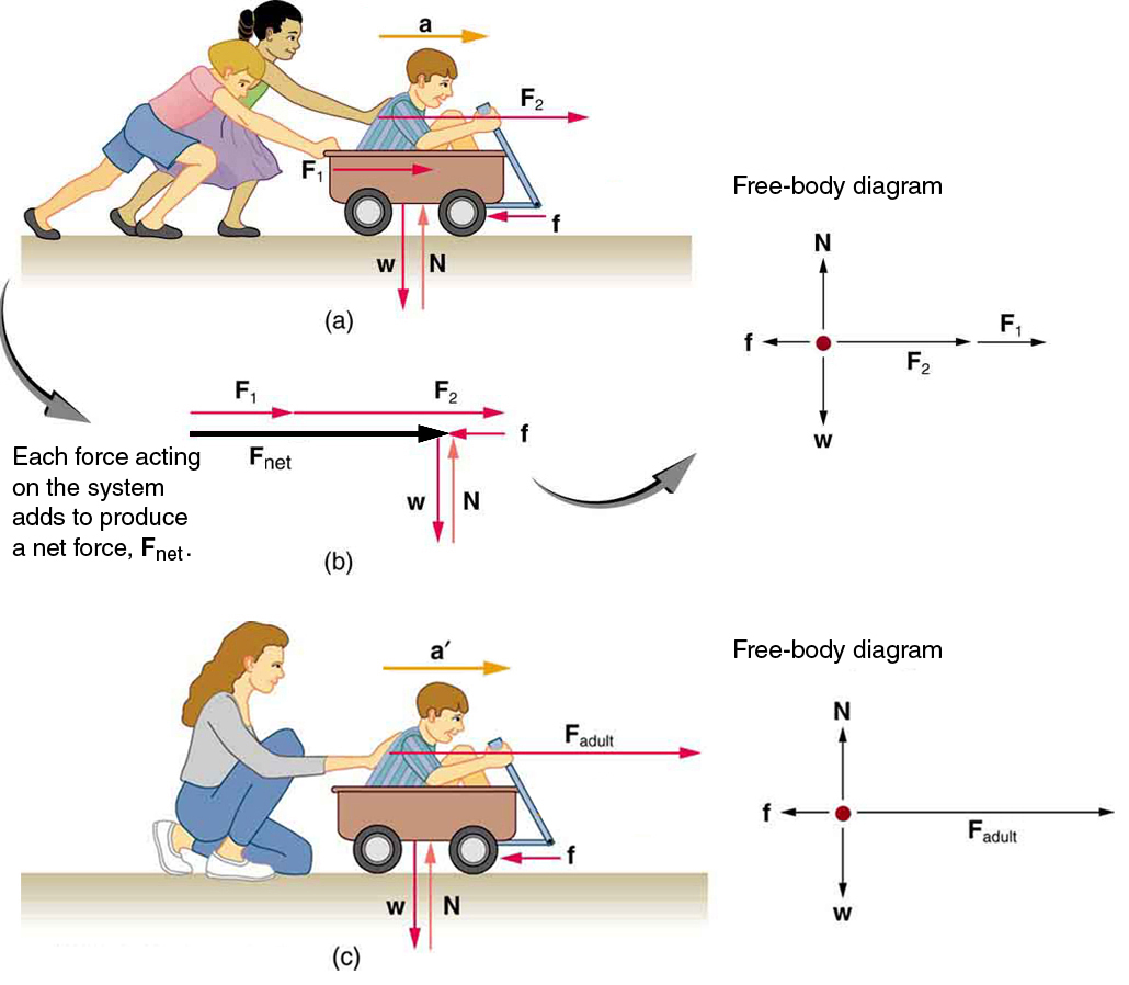 This image shows two scenarios of an object moving. Each image shows a variety of forces acting on the object denoted as arrows and the kind of force and the direction that it acts on the object. There is also an arrow showing the direction of the net force which also shows the direction of acceleration. Each image shows a free body diagram of all of the forces that is acting on the object to show a physical representation of all of the forces as well as their magnitudes and direction. 