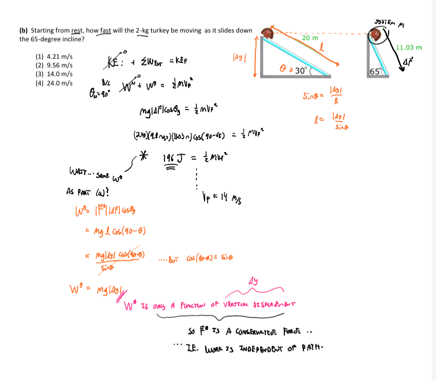 Turkey worksheet solution